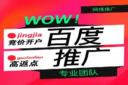 信息流广告精准投放：成功案例展示